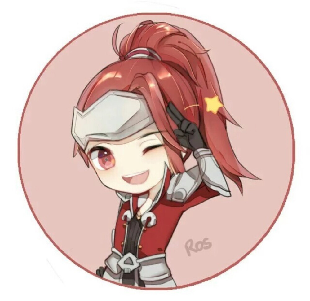 方案